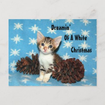 Tippy's Christmas PostCard - Cat / Kitten