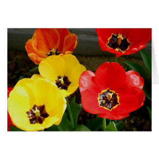 Tiptoe through the...