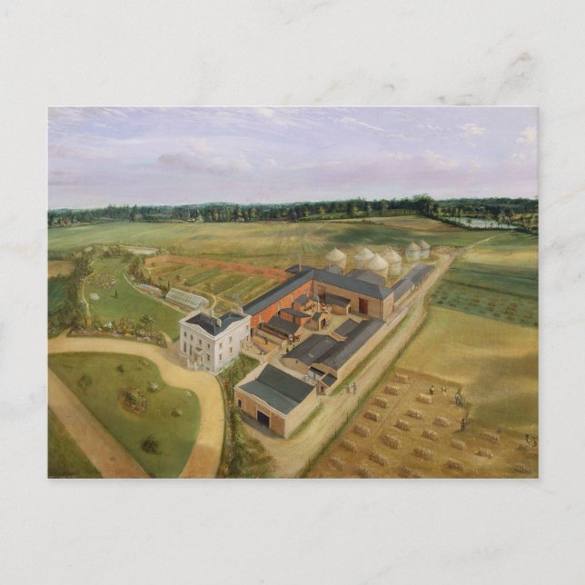 Tiptree Hall and Farm, Essex, c.1850-60 (oil on ca Postcard (Front)