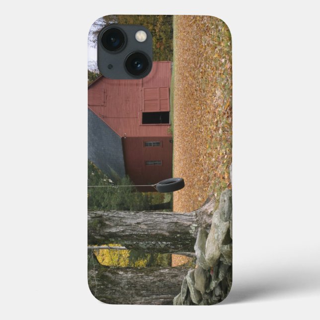 Tire swing along a road in Southern Vermont, Case-Mate iPhone Case (Back)