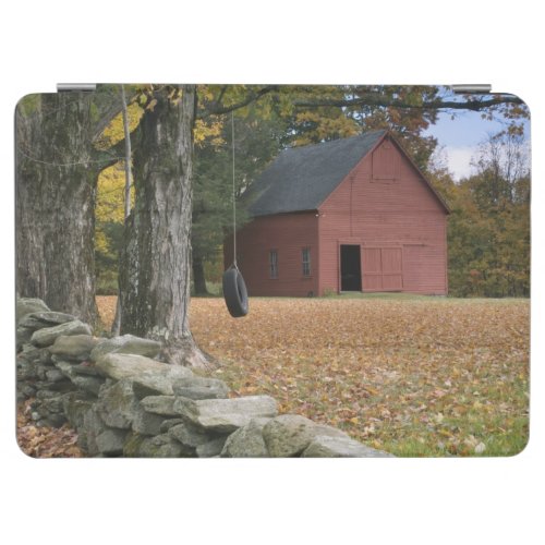 Tire swing along a road in Southern Vermont iPad Air Cover