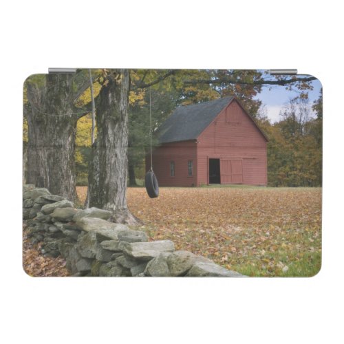 Tire swing along a road in Southern Vermont iPad Mini Cover