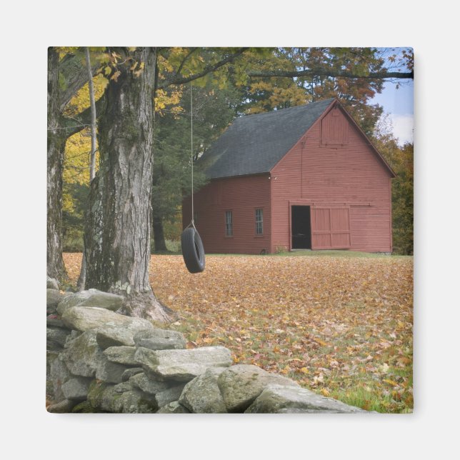 Tire swing along a road in Southern Vermont, Magnet (Front)