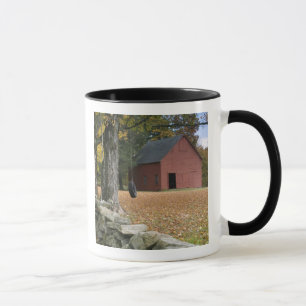 Tire swing along a road in Southern Vermont, Mug