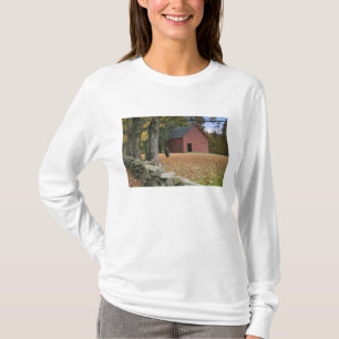 Tire swing along a road in Southern Vermont, T-Shirt