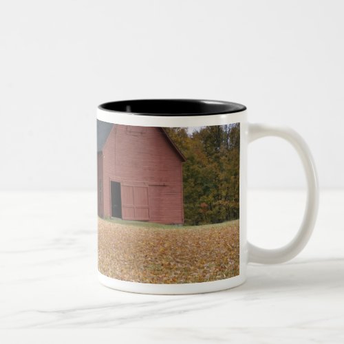 Tire swing along a road in Southern Vermont Two_Tone Coffee Mug