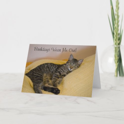 Tired Cat Birthday Card