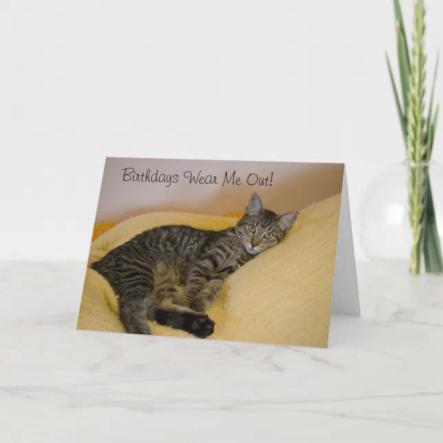 Tired Cat Birthday Card | Zazzle