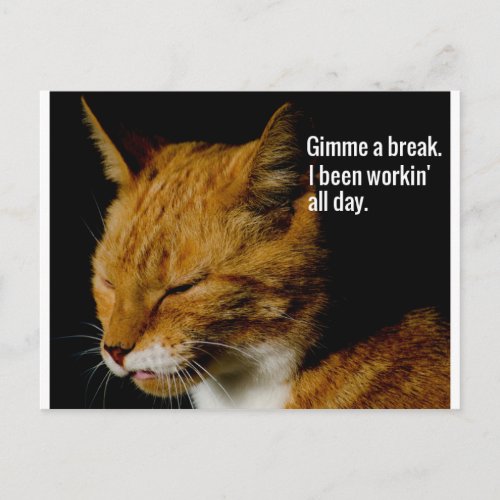 Tired Cat Design _ Gimme a break Postcard