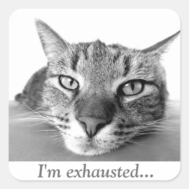Tired cat square sticker (Front)