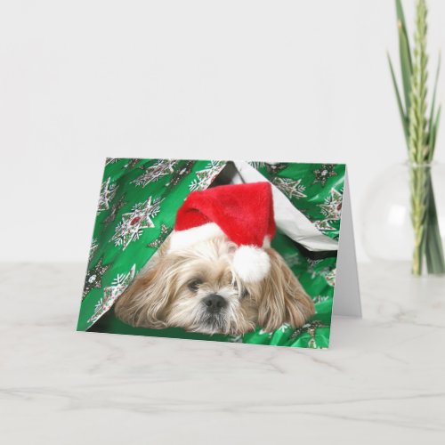 Tired Christmas Shih Tzu Holiday Card