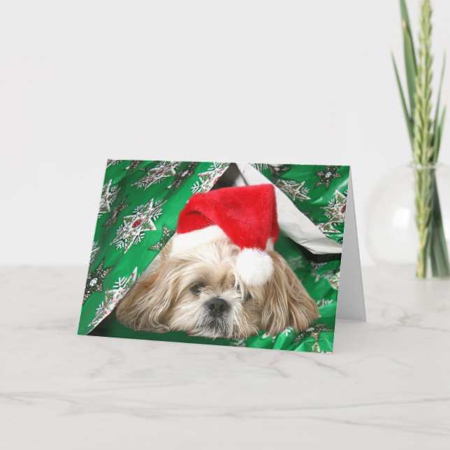 Tired Christmas Shih Tzu Holiday Card (Front)