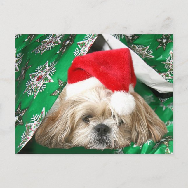 Tired Christmas Shih Tzu Holiday Postcard (Front)