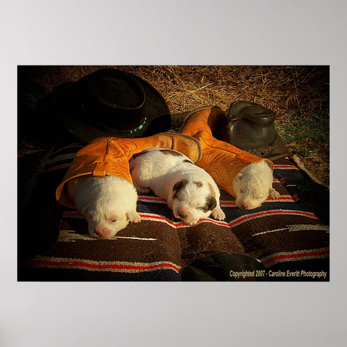 Tired Cowboy Puppies Print