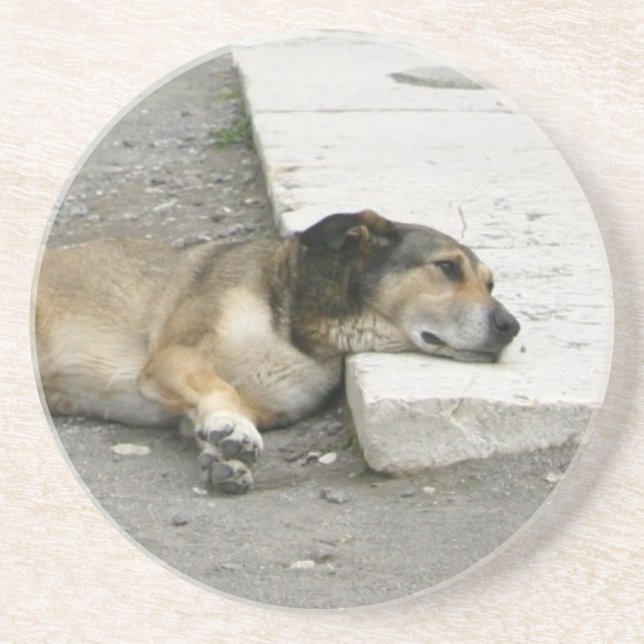 Tired Dog coaster, customizable Drink Coaster (Front)