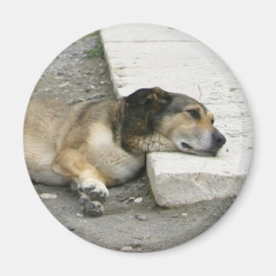 Tired Dog magnet, customize Magnet
