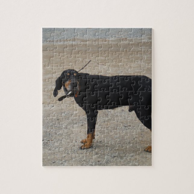 Tired Hunting Dog Jigsaw Puzzle (Vertical)