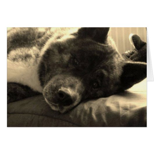 Tired Inca (Front Horizontal)