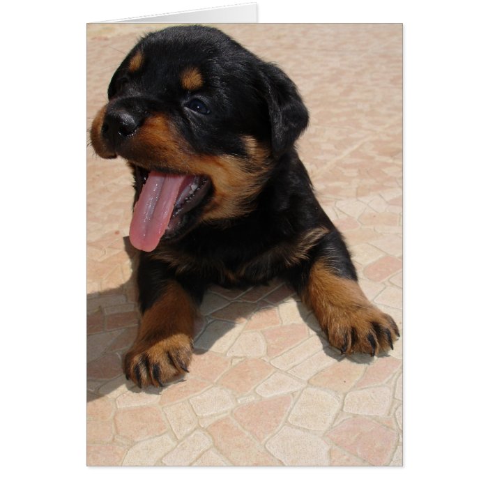 Tired Rottweiler Pup Yawning Card