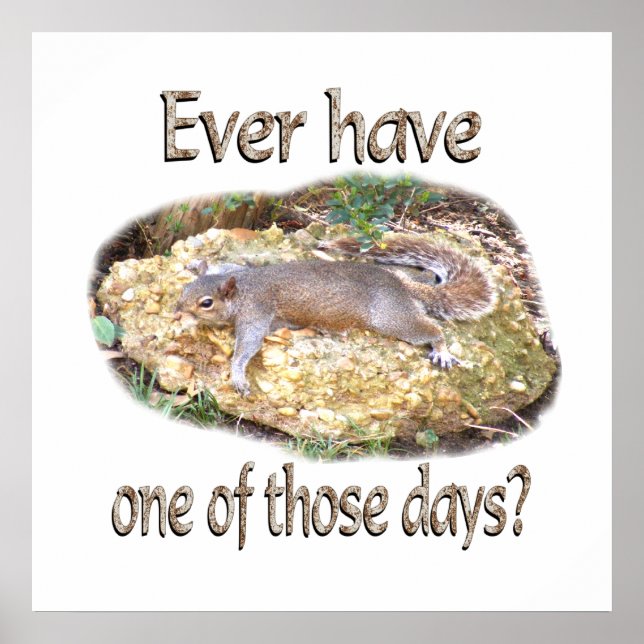 Tired Squirrel Poster (Front)