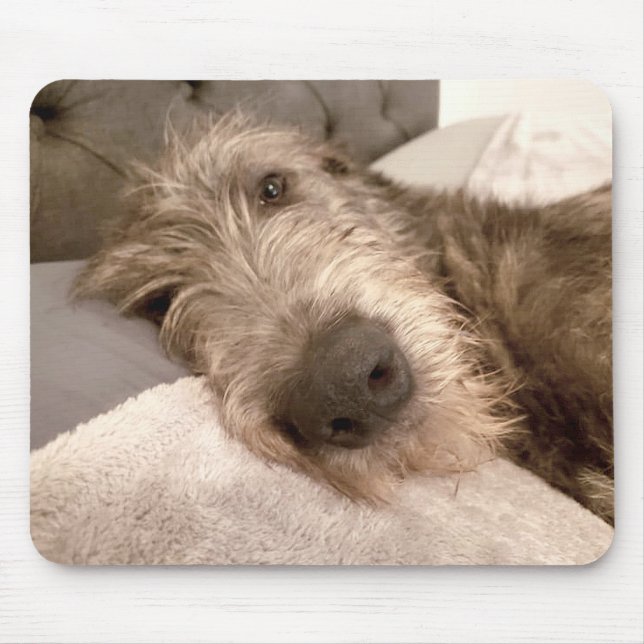 Tired young Irish Wolfhound Mouse Pad (Front)