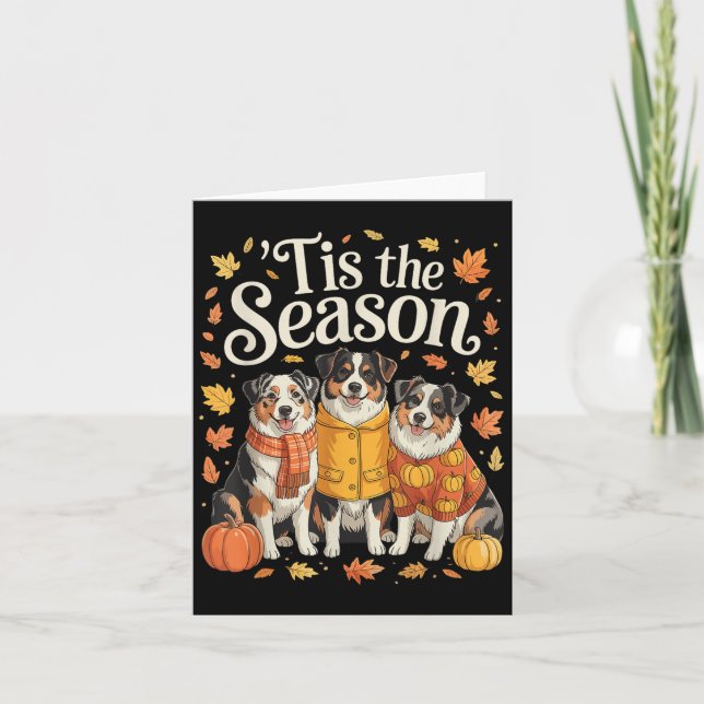 Tis The Season Australian Shepherd Fall Autumn Pum Card (Front)