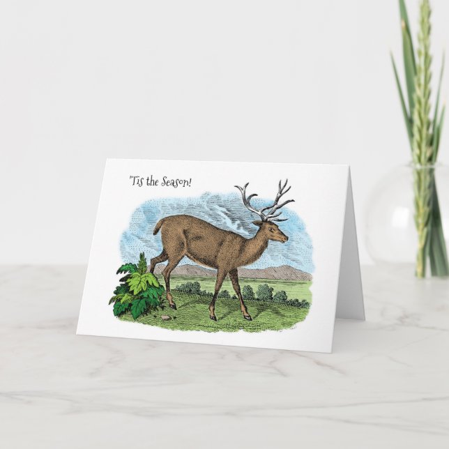 Tis the Season Deer Hunter Christmas Season Card (Front)