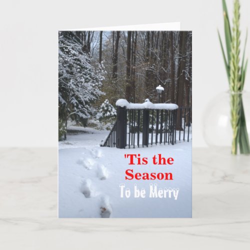 Tis the Season Footprints in Snow Christmas Card