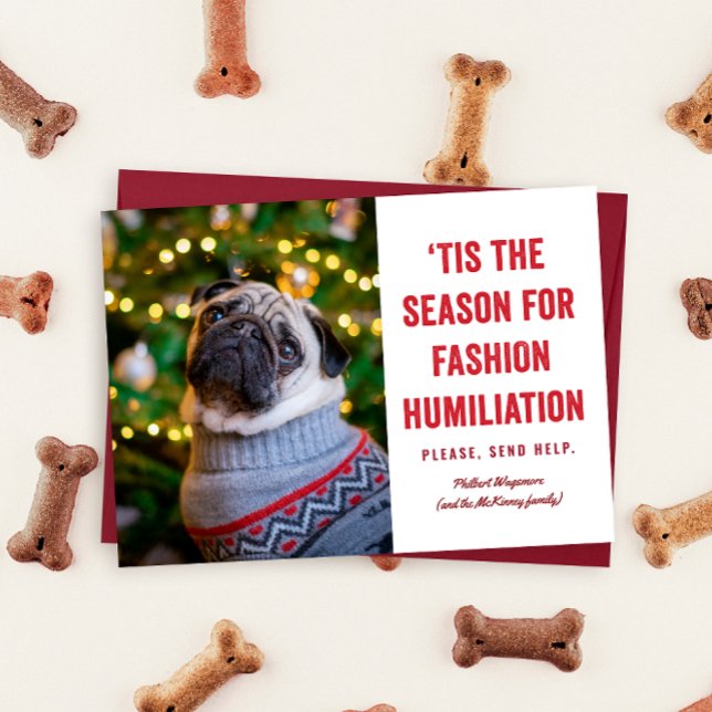 Tis the Season for Fashion Humiliation Christmas (Funny pet photo holiday card reads "tis the season for fashion humiliation ... please send help")