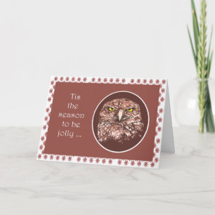 Tis the Season Funny Grumpy Owl Christmas Holiday Card