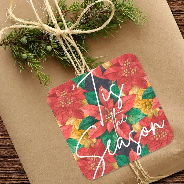 Tis the Season Poinsettia Christmas Holiday Square Sticker (Creator Uploaded)