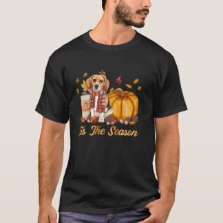 Tis The Season Pumpkin Beagle Dog Fall Season Pump T-Shirt