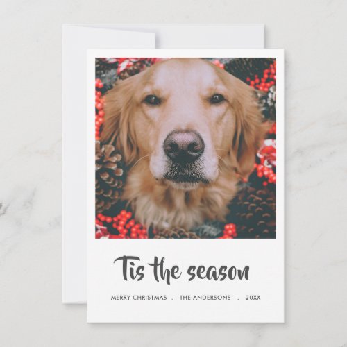 Tis The Season Script Christmas Photo  Pet Dog Holiday Card