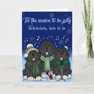 Tis the Season to be jolly, Newfoundlands caroling Holiday Card