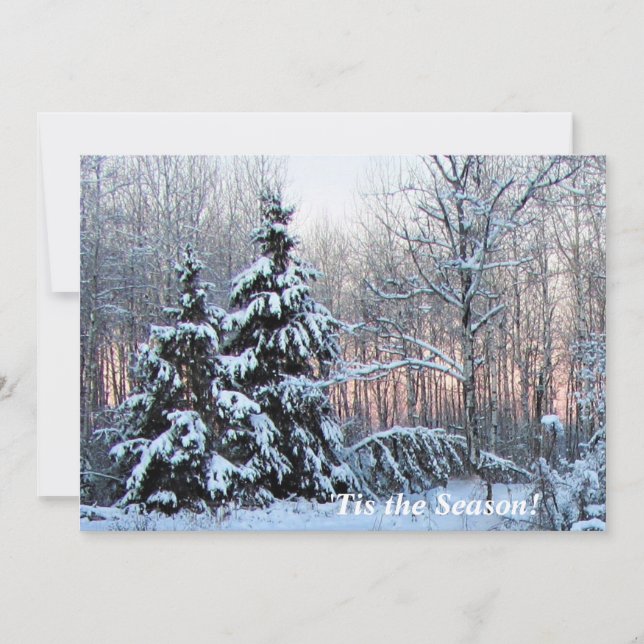 'Tis the Season Up North  Mn! Rosy Sunset (Front)