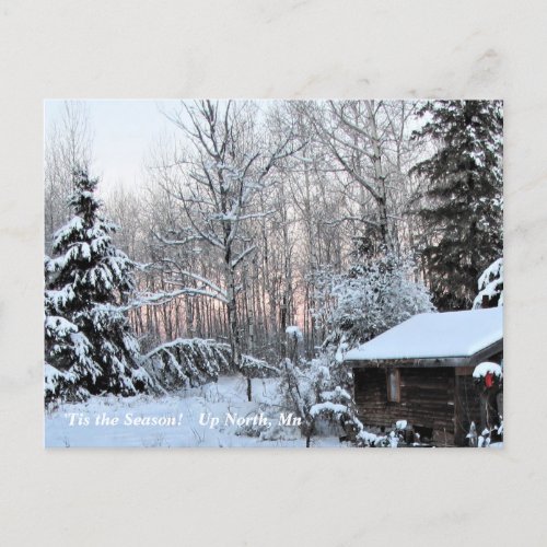 Tis the Season  Up North Mn Winter Holiday Postcard