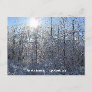 'Tis the Season Up North, Mn Winter Holiday Postcard
