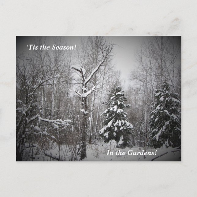 'Tis the Season Winter in the Bear River Gardens Postcard (Front)