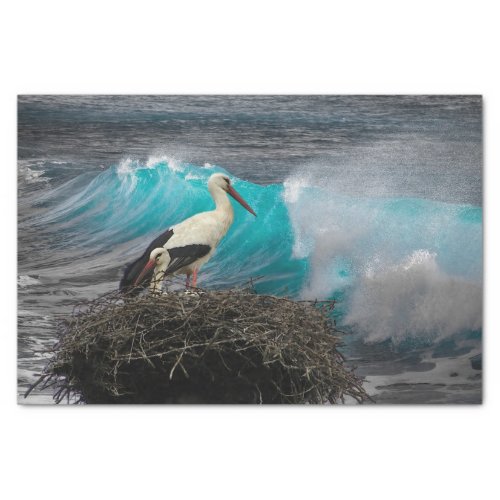 Tissue Gift Paper with Ocean and Nesting Bird