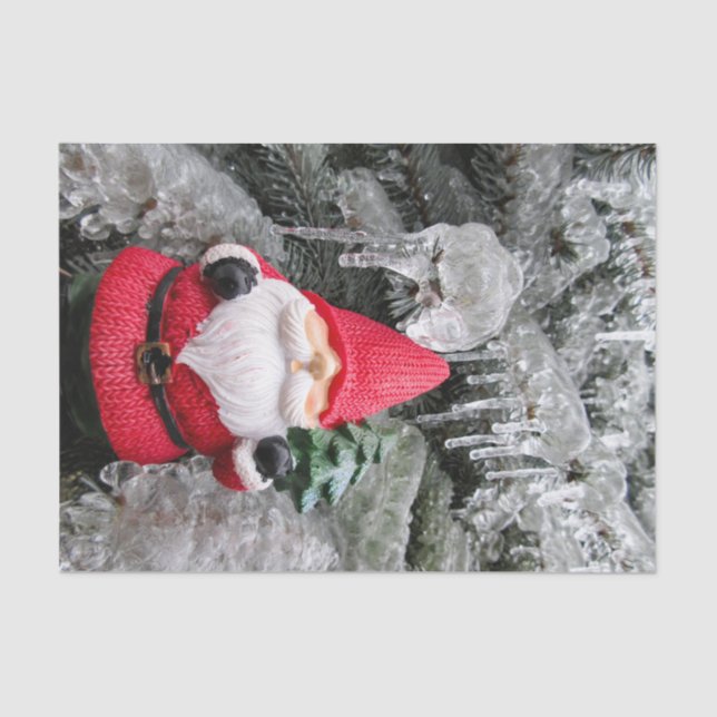 Tissue Paper (Front)