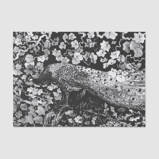 Tissue Paper BLACK AND WHITE PEACOCK (Front)