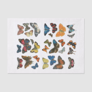 Tissue Paper butterfly decoupage