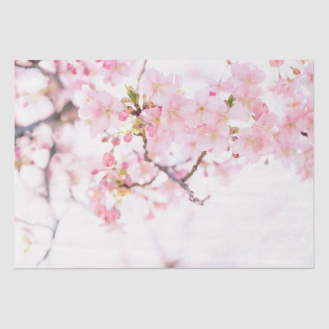 TISSUE PAPER: CHERRY BLOSSOMS TISSUE PAPER (Front)