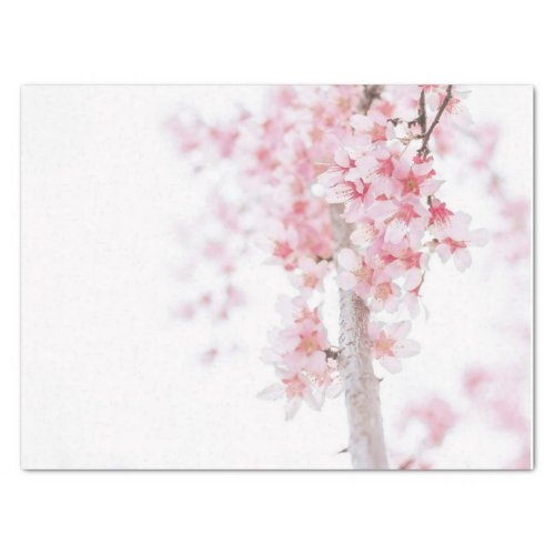 TISSUE PAPER CHERRY BLOSSOMS WRAPPING PAPER