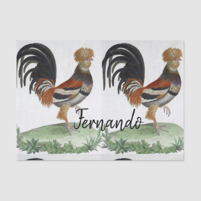 Tissue Paper French Bird (Front)