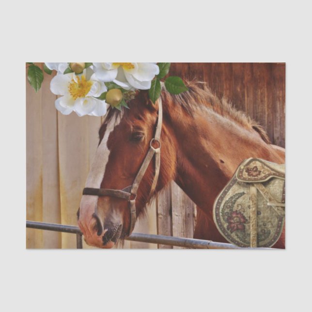 Tissue Paper Horse Floral (Front)