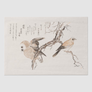 TISSUE PAPER : JAPANESE : UTAMARO KITIGAWA 1806