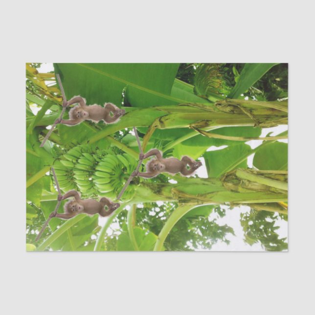 Tissue Paper Monkey Rope Banana Tree (Front)