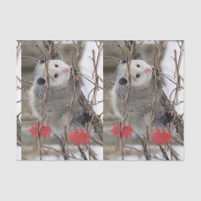Tissue Paper Opossum Nature (Front)