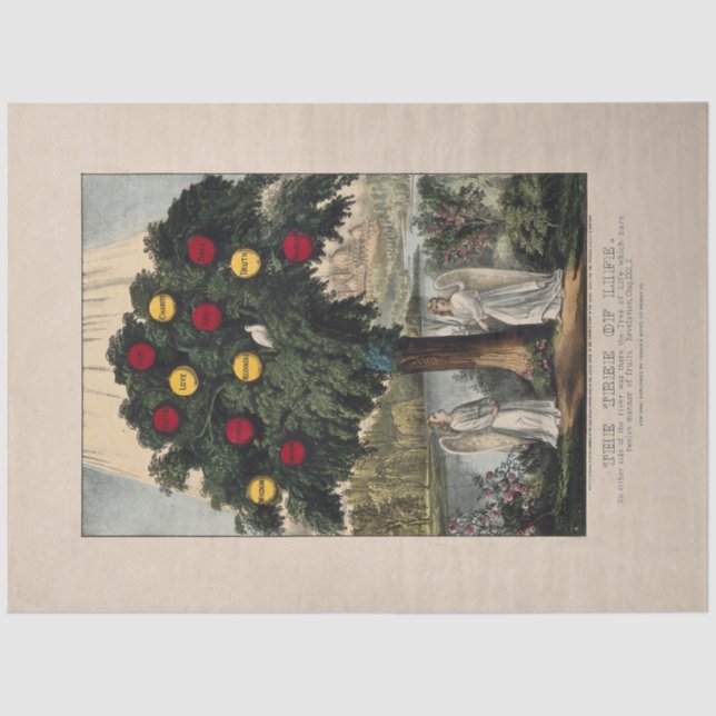 TISSUE PAPER : THE TREE OF LIFE : BAKEWELL : 1870 (Front)